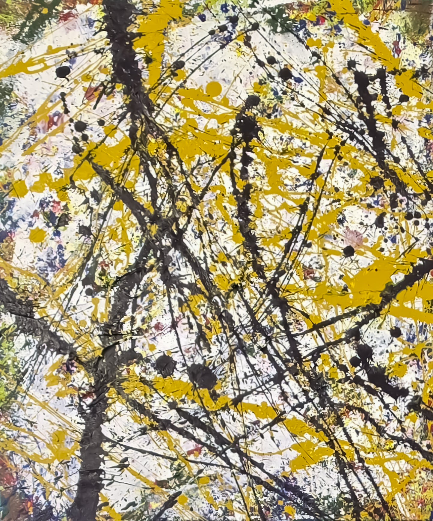 Noise Within